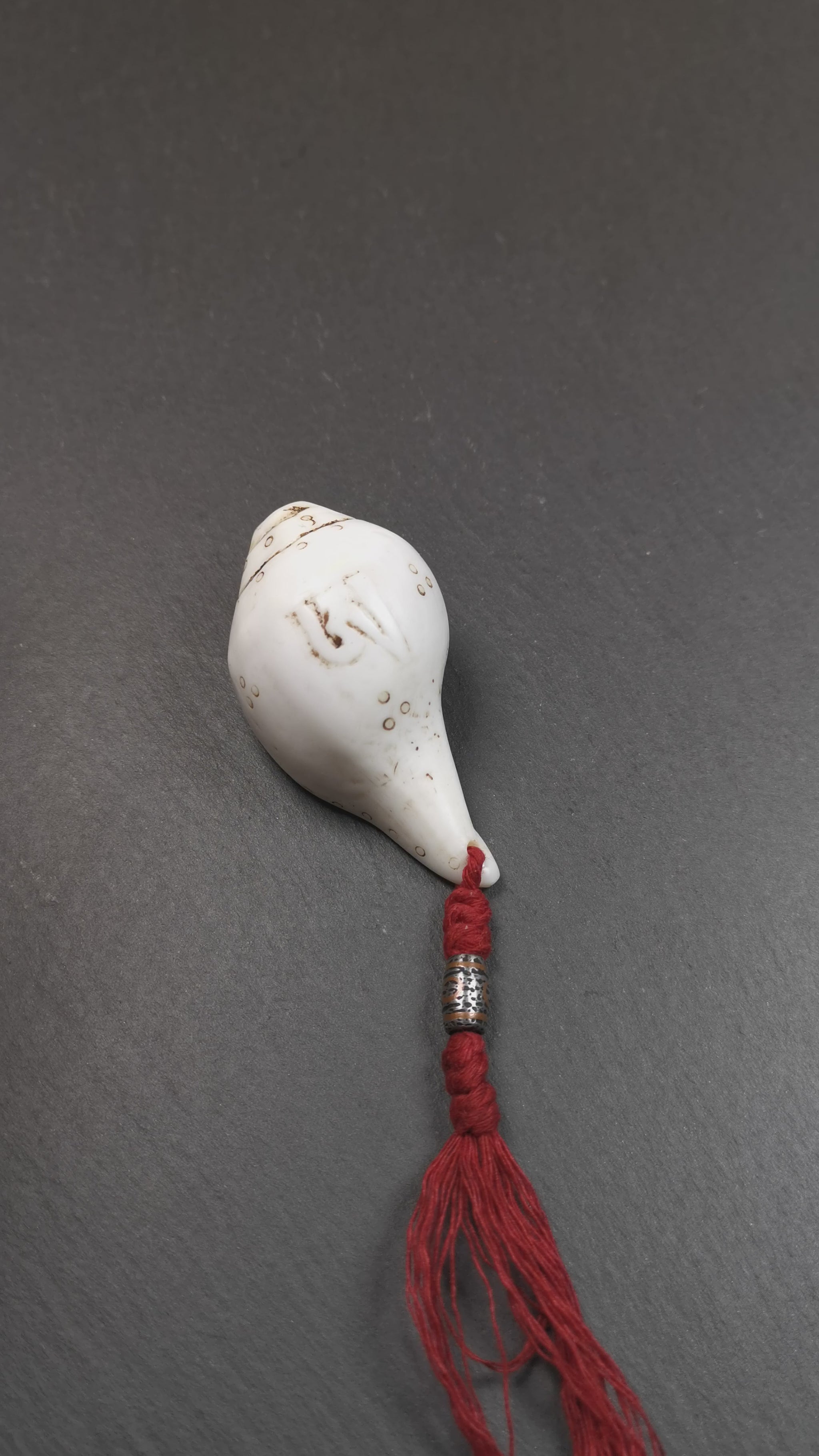 This conch ritual was hand carved by Tibetan craftsmen,collected from Gengqing Monastery,about 40 years old. It's made of conch, entirely hand-carved with tibetan letter OM and mantra dots,and there is an iron dzi bead hanging at the tail,very beautiful.