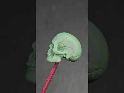 Cuenta auténtica de calavera Citipati de turquesa, 15*13*11mm